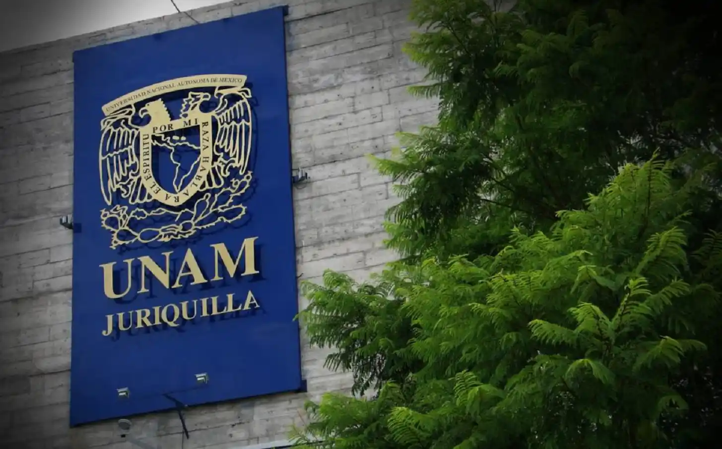 Optimización de arquitectura web y posicionamiento SEO para el sector educativo UNAM Juriquilla